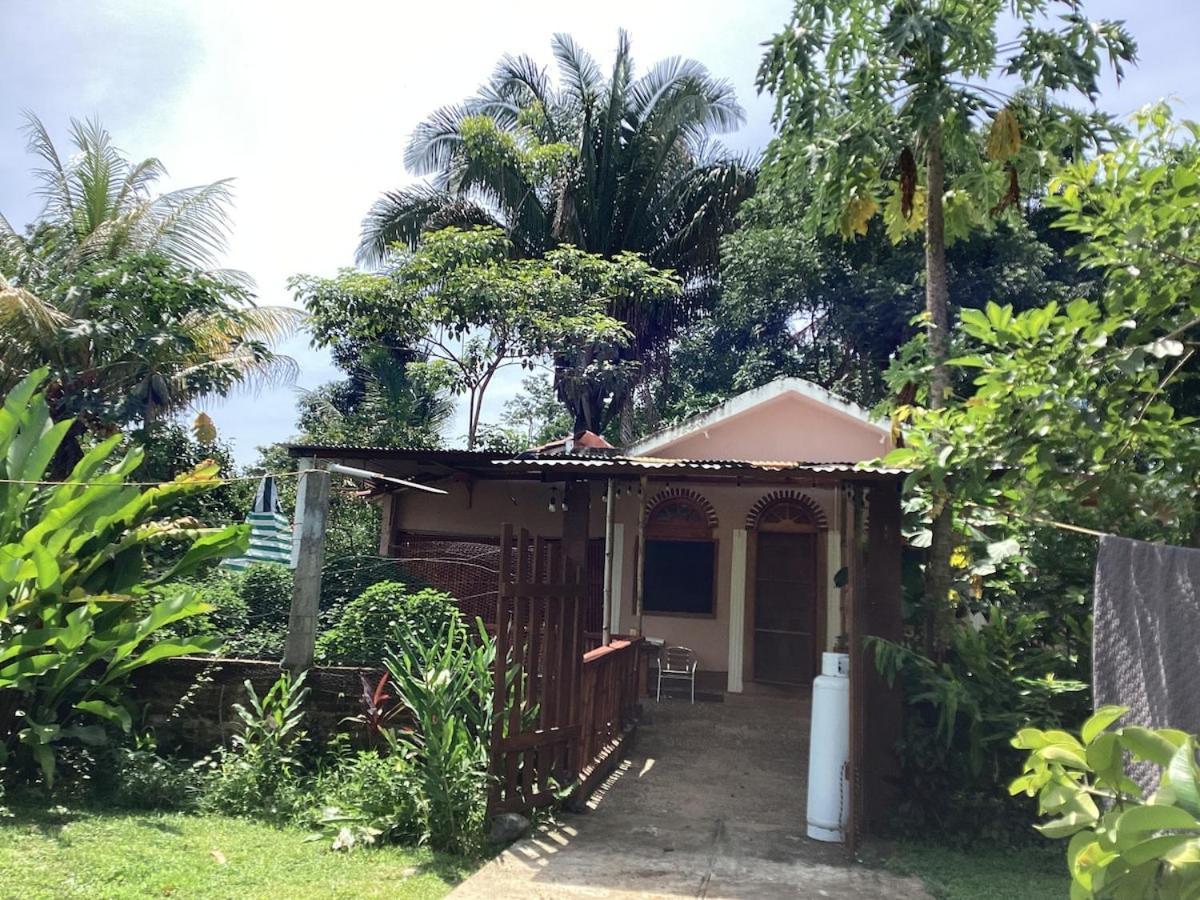 Exotic Flower Cabin2 Pool Agua Bendita 외부 사진